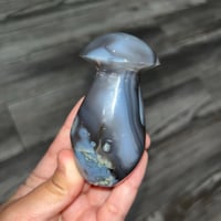 Image 2 of Orca Agate Mushroom C