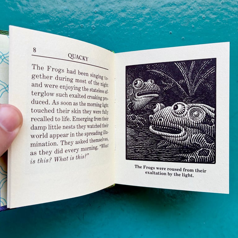 Quacky by Jim Woodring Image 2