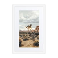 Image 3 of Joshua Tree