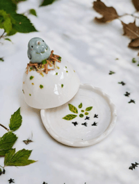 Image 4 of Pigeon Mini Cloche