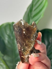 Image 4 of HALF POLISHED HIMALAYAN RUTILE IN QUARTZ CLUSTER B