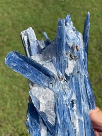 Image 15 of Blue Kyanite In Quartz Specimen #1783