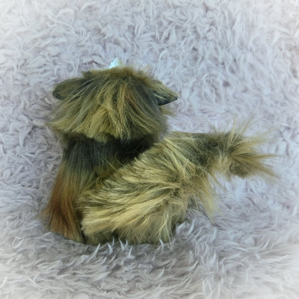 Image of Princess Donut The Queen Anne Chonk