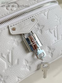 Image 19 of ĻV Vanity Case