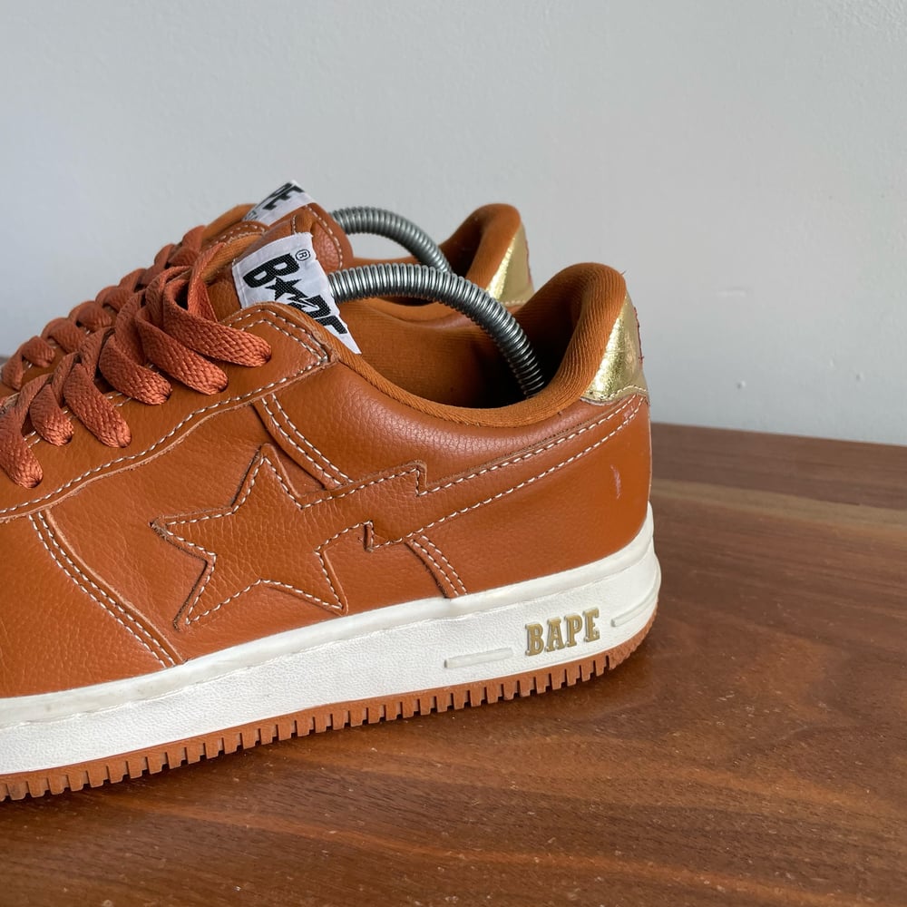 Image of Bapestas Brown (8)