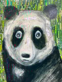 Image 1 of Matrix Panda