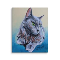 Image 3 of Domestic Longhaired Royalty