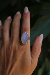 Image 2 of Blue Moon 