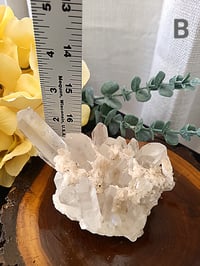 Image 4 of Natural Quartz Medium Crystal Clusters 3 Styles 