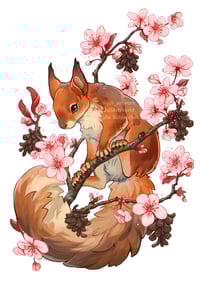 Print - squirrel 