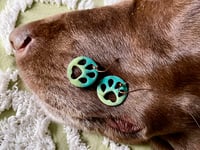 Image 4 of Glass Paws