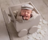 Image 7 of Baby Wagon in natural optic