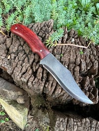 Image 1 of PADAUK BOWIE