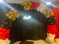 Image 1 of Balloon Arch