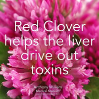 Image 5 of Red Clover Herbal Extract 