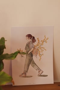 Image 3 of Mimosa