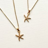 Image 2 of SUMMER COURT STARFISH 