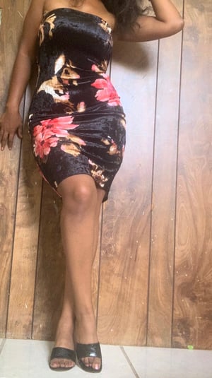 Image of Velvet Rose 