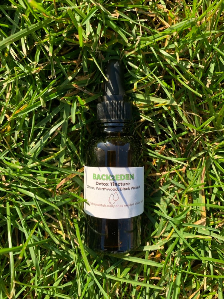 Parasite Cleanse Herbal Detox Tincture | Back2Eden