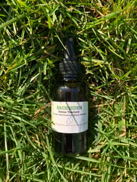 Image 2 of Parasite Cleanse Herbal Detox Tincture