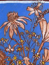 Coneflower and Daisies 