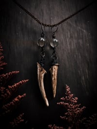 Image 1 of antler tine hangers (can be earrings for non-sensitive ears)