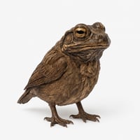 Image 3 of Toady 