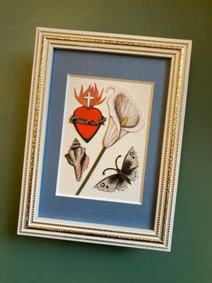 Image of Shell Framed Original