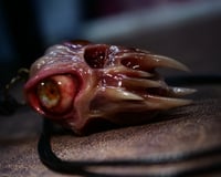 Image 1 of Flesh Oracle Snaggletooth Pendant - Handmade OOAK