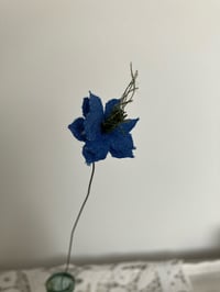 Image 4 of Love-in-a-Mist