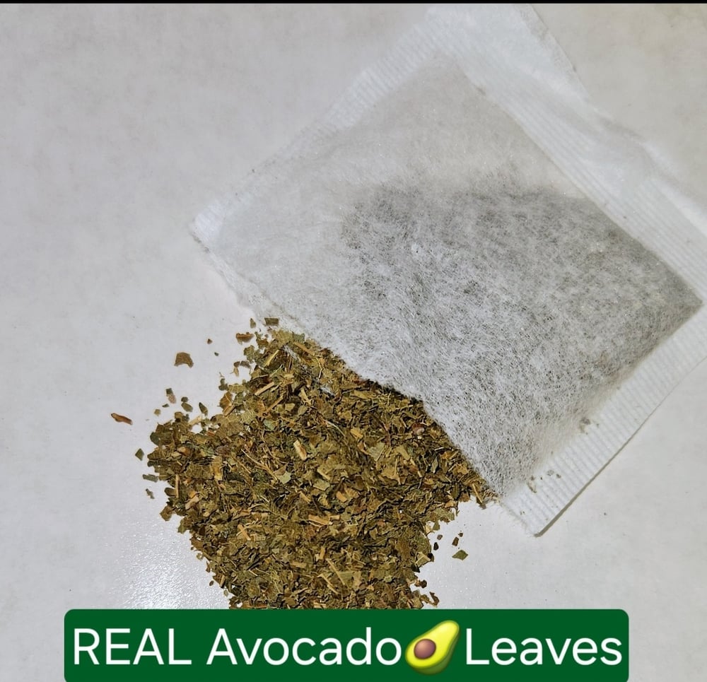 ALLIGATOR PEAR Freeze-Dried Avocado Fruit & Leaf Tea. Heart-Osteoporosis-Depression-Respiratory