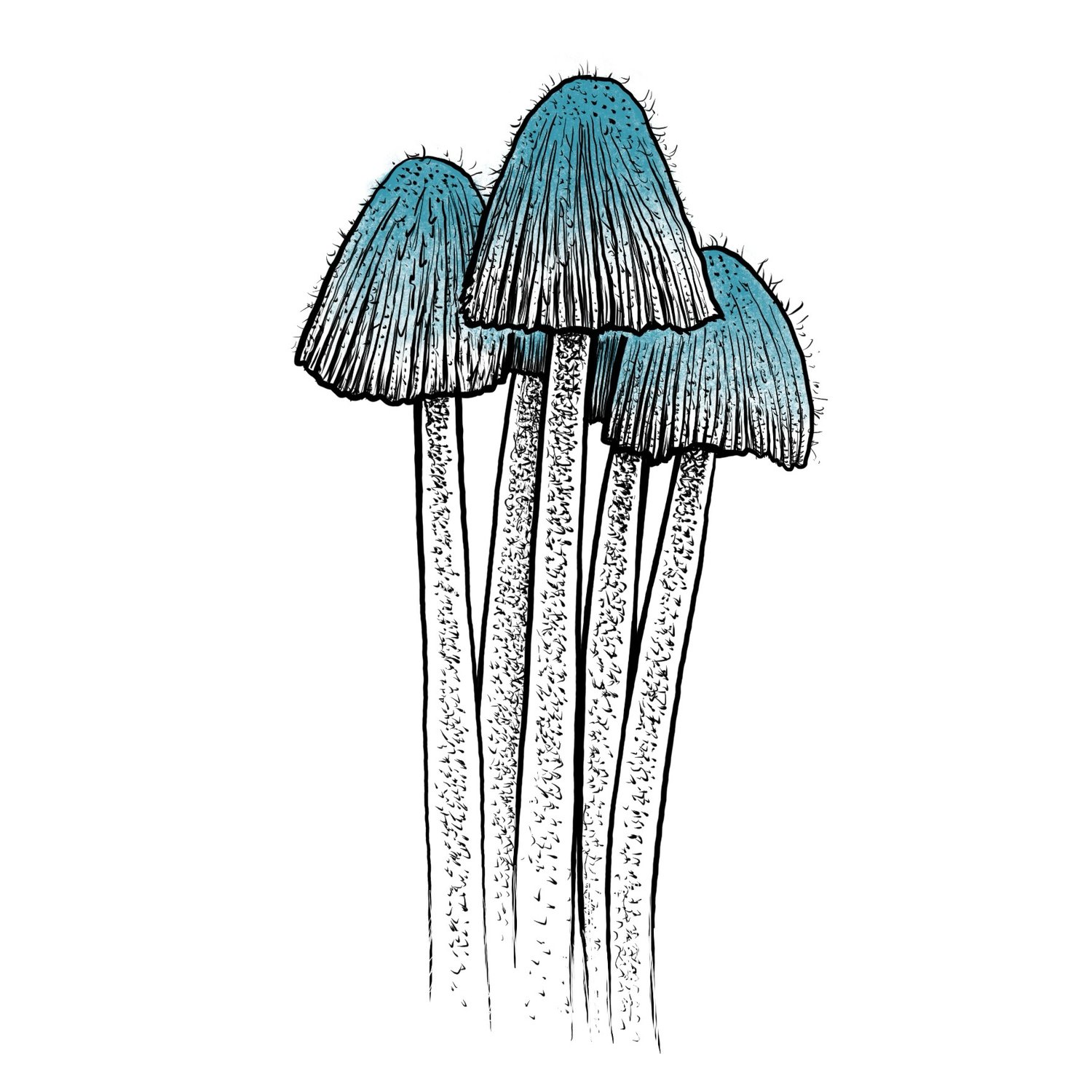 Mushrooms #3