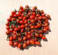 Image 7 of Pumpkin Pixie Dangles