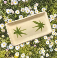 Image 2 of Palm Plate