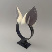 Image 2 of DERPY Pony Ears 