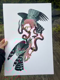 Image 1 of Falcons and Snake