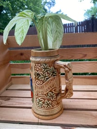 Image 2 of Stromanthe in German Stein with Quote 