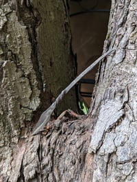 Image 3 of Surprise Forged Hobby Knife