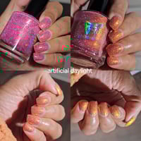 Image 3 of Ladies Celebrating Ladies