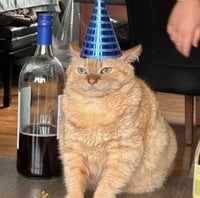 tip jar/practice listing