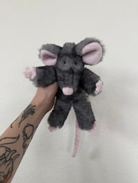 Image 3 of Mystery Rat Pre-Orders 