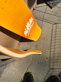 Image 5 of 9.125" Flathead Pool Shape - OG Skull - Honeycomb