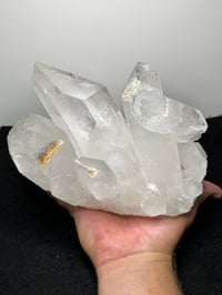 Image 19 of Clear Quartz Points Cluster With Chlorite Inclusions Statement Piece #2543