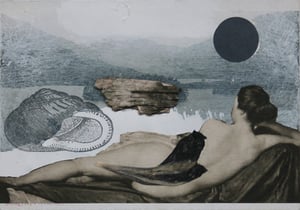 Image of Shell