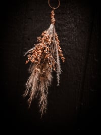 Image 3 of Dian Cecht