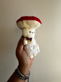 Image 3 of Amanita Mushroom baby