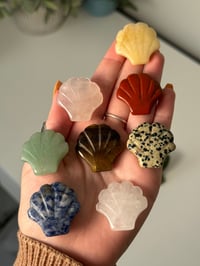 PICK YOUR OWN CRYSTAL SEASHELL