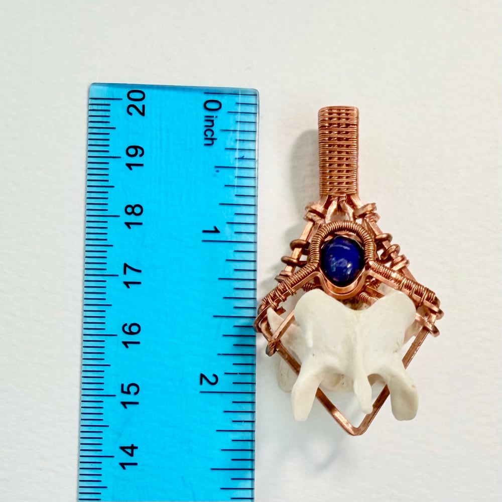 Image of Lapis Lazuli & Vertebrate Pendant