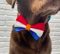 Image 5 of Netherlands Flag Kings Day Bow Tie / Sailor Bow