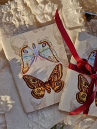Image 4 of The Moth Keeper’s Pocket Journal